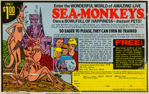 sea monkey advertisement