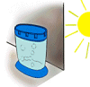 keep sea-monkeys in shaded area