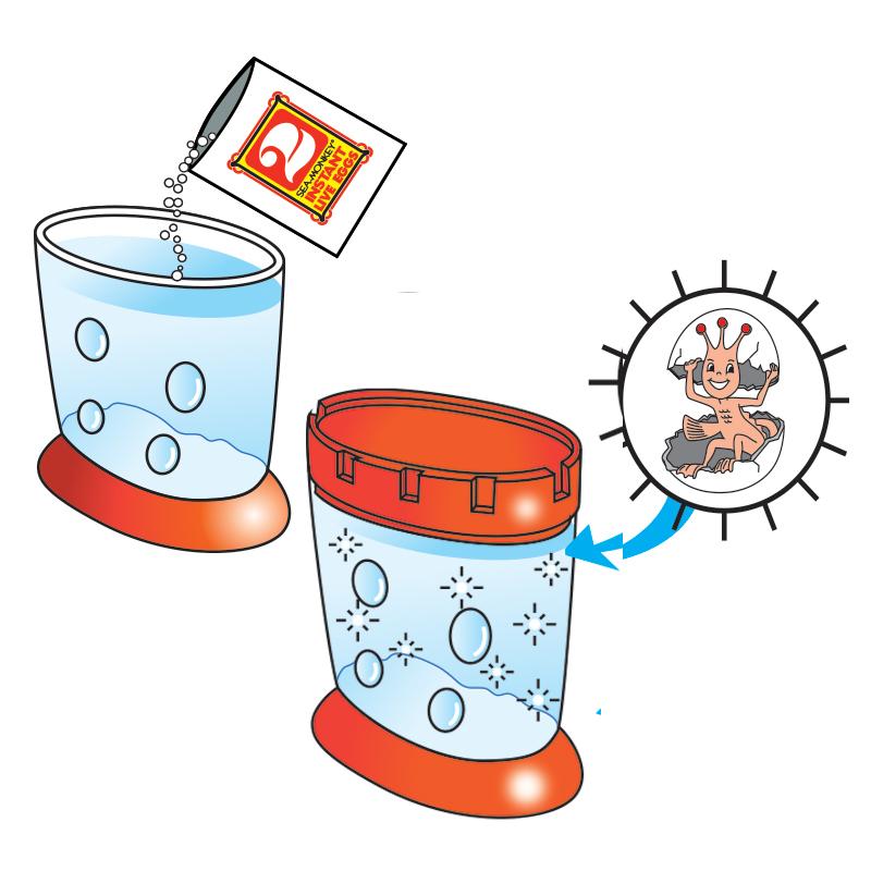 Sea Monkeys - What is a Sea Monkey? - Sea-Monkeys